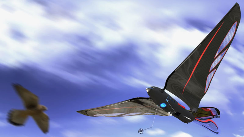 Ingeniero fabricó una pájaro robótico de 10 gramos que gira a hasta 31 km/h y se controla mediante un smartphone