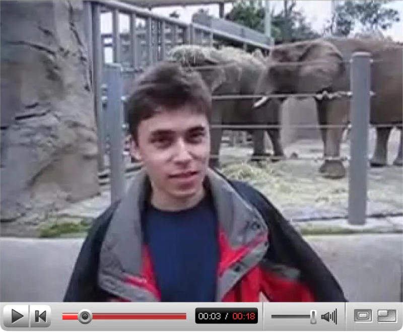 Los primeros videos de YouTube entraron en la colección del museo