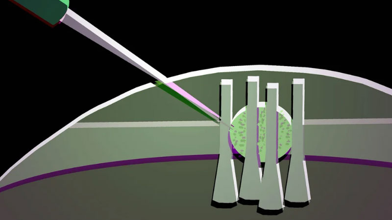 Los científicos han convertido una gota de cristal líquido en un transistor óptico flexible para futuros chips fotónicos