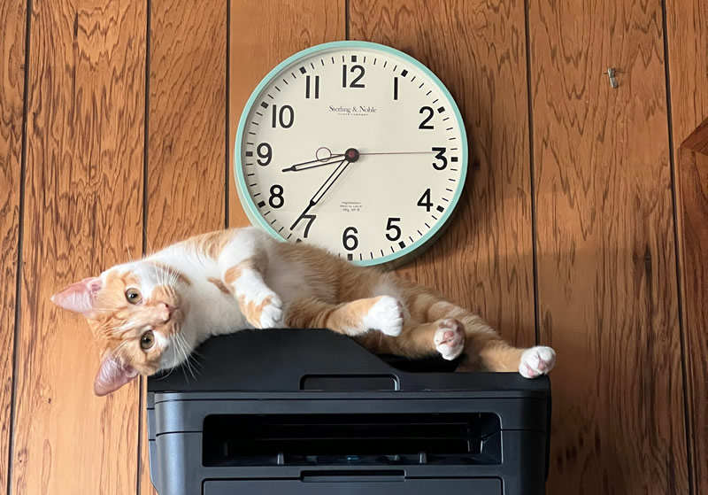 Windows 11 dejará de soportar los controladores antiguos de impresoras V3 y V4 con la próxima actualización