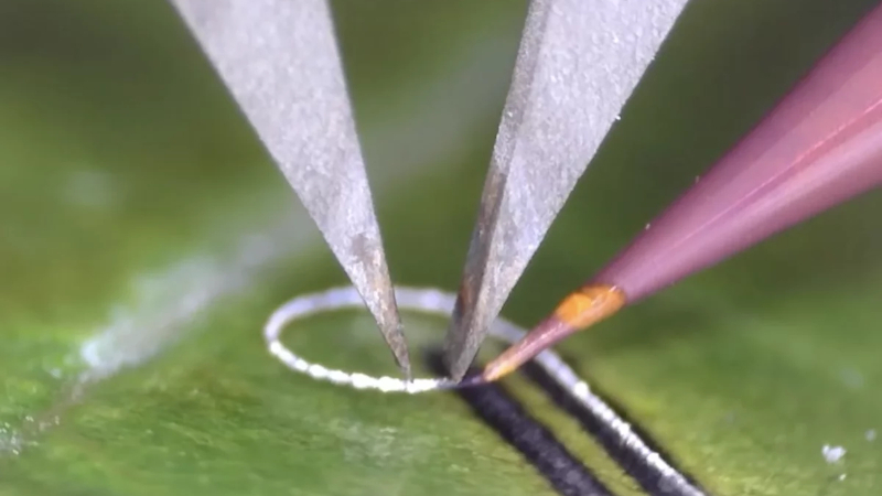 Los ingenieros crearon un dispositivo que permite colocar componentes electrónicos en tejidos vivos e implantes médicos sin dañarlos