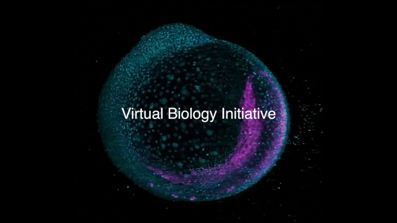 El Biohub de Mark Zuckerberg ha comenzado a acelerar el tratamiento de todas las enfermedades utilizando modelos de IA de células